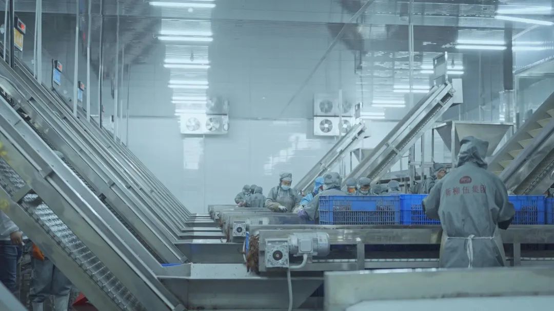 bti������(�й�)�ٷ���վ - APP����